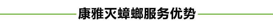 滅蟑螂服務優(yōu)勢