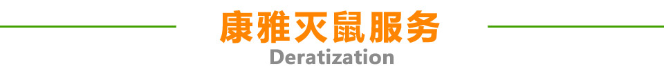 康雅滅鼠服務(wù)