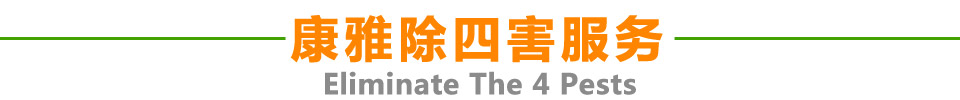 康雅除四害服務(wù)