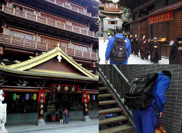 廣州大佛寺除四害，廣州害蟲防治