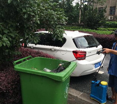 老鼠繁殖期，防治需及時,滅老鼠|防老鼠|老鼠防治