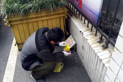 老鼠繁殖期，防治需及時,滅老鼠|防老鼠|老鼠防治