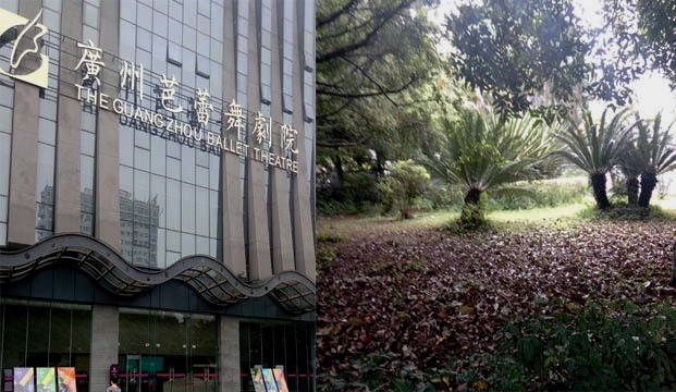 康雅殺蟲(chóng)公司為廣州藝術(shù)學(xué)校及廣州芭蕾舞劇院提供滅蚊方案|蚊子防治