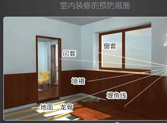 新房裝修白蟻預防，您了解多少？