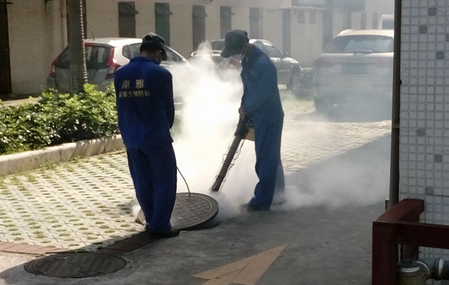   廣州康雅為禧泰母嬰護理中心滅蟲、滅鼠|康雅殺蟲公司|消殺服務
