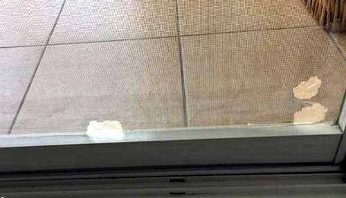 紗網防不住老鼠的尖牙|滅鼠|防治老鼠|廣州滅鼠|防鼠