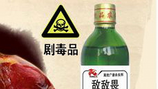 簡單滅跳蚤，豬卻遭殃|滅跳蚤|殺蟲公司|除四害