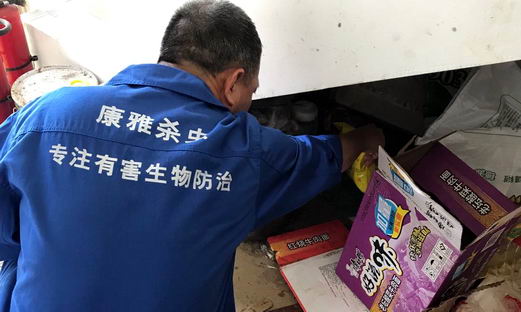 黃埔公安局飯堂滅鼠|滅鼠|康雅殺蟲|廣州滅鼠