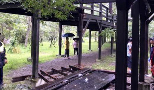 木棧道被白蟻蛀空，突然坍塌白蟻防治|滅白蟻