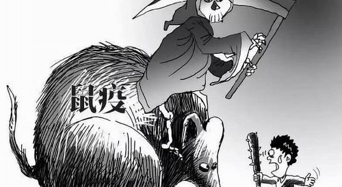 關(guān)于鼠疫的傳染源|滅鼠|廣州滅鼠