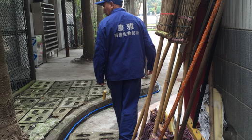 關于生態滅鼠|滅鼠|廣州滅鼠