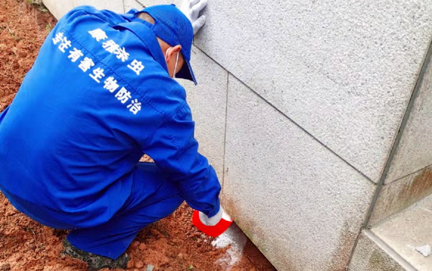 廣州白蟻預(yù)防公司