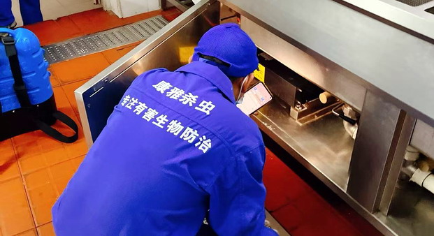 廣州滅蟑螂服務(wù)