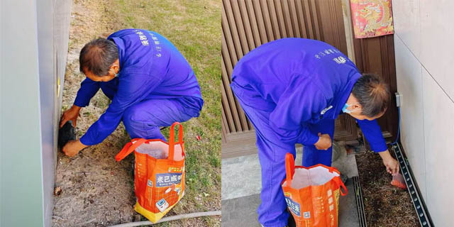 廣州滅鼠服務