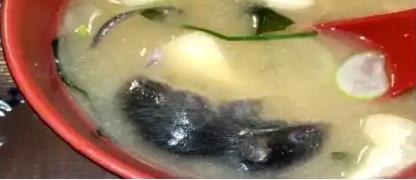 廣州除蟲滅鼠公司