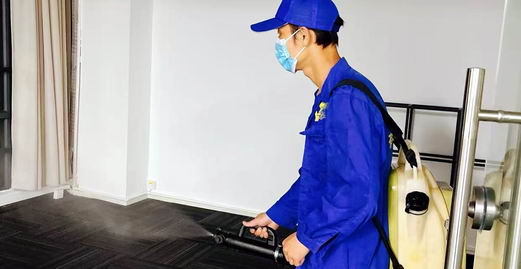 廣州消毒殺蟲服務