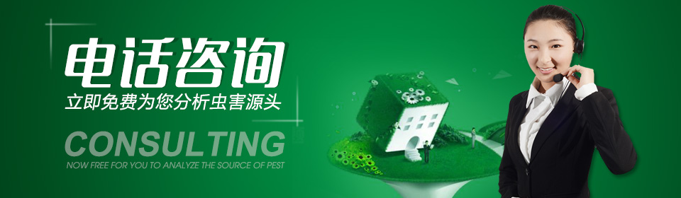電話咨詢立即免費為您分析蟲害源頭！