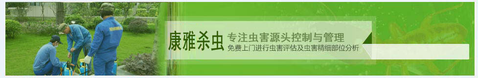 10年專業(yè)技術(shù)人員免費(fèi)上門進(jìn)行蟲(chóng)害評(píng)估及蟲(chóng)害精細(xì)部位分析