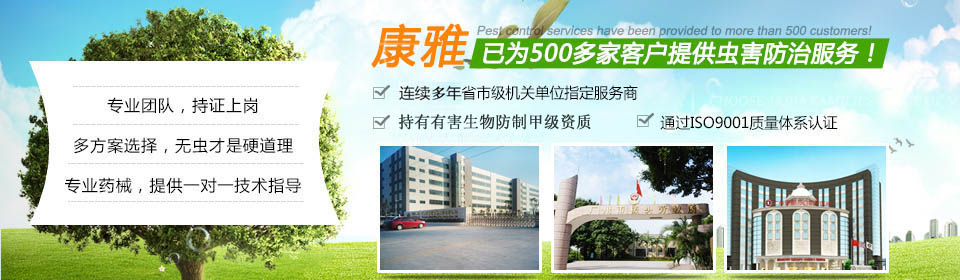 10年專業(yè)殺蟲行業(yè) 提供最有效的蟲害解決方案